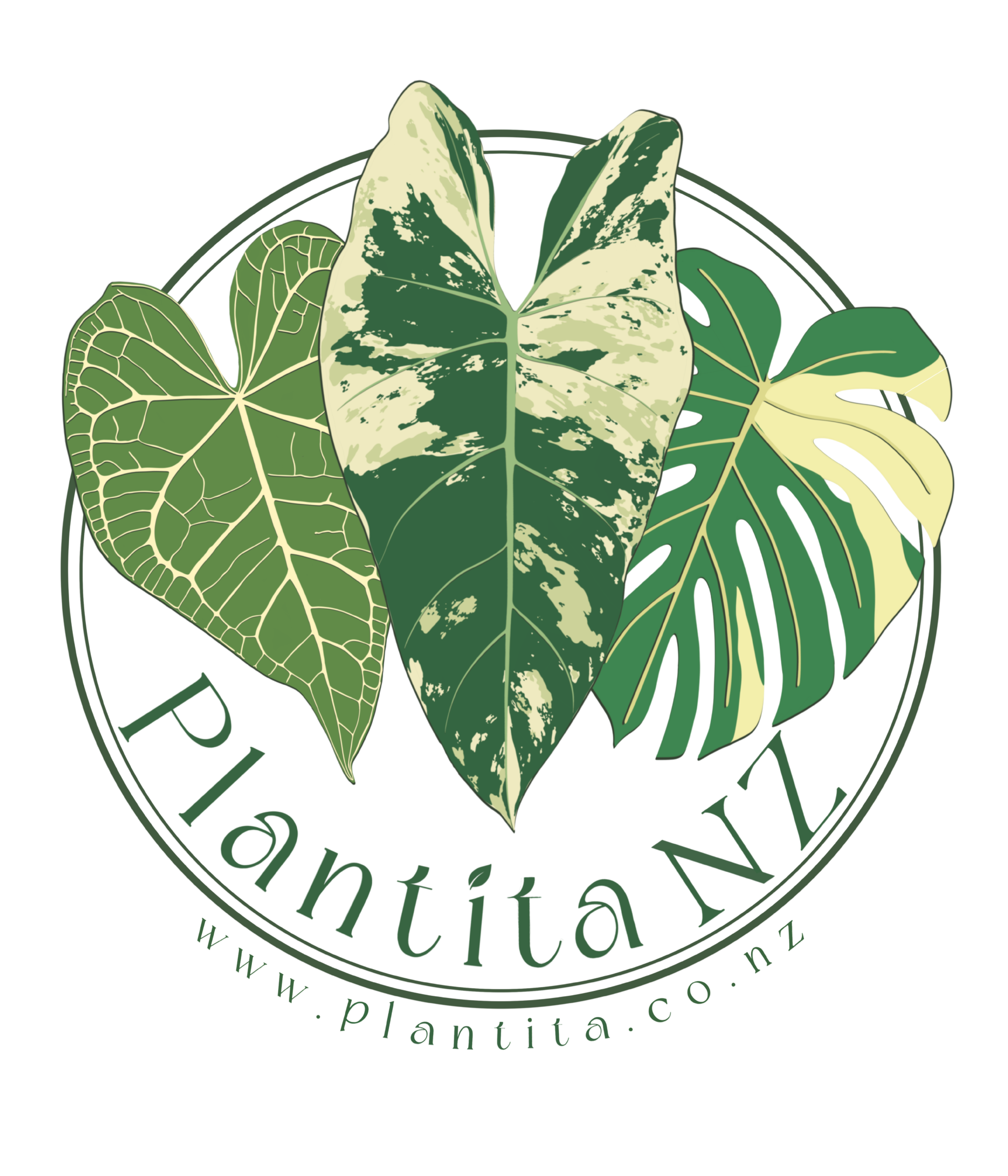african violet potting mix nz Bio Leaf African Violet Potting Mix – Plantita NZ