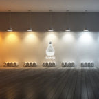 36 Watt Sansi LED Grow Light