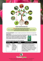 GroVentive Garden Two Way Systemic Insecticide