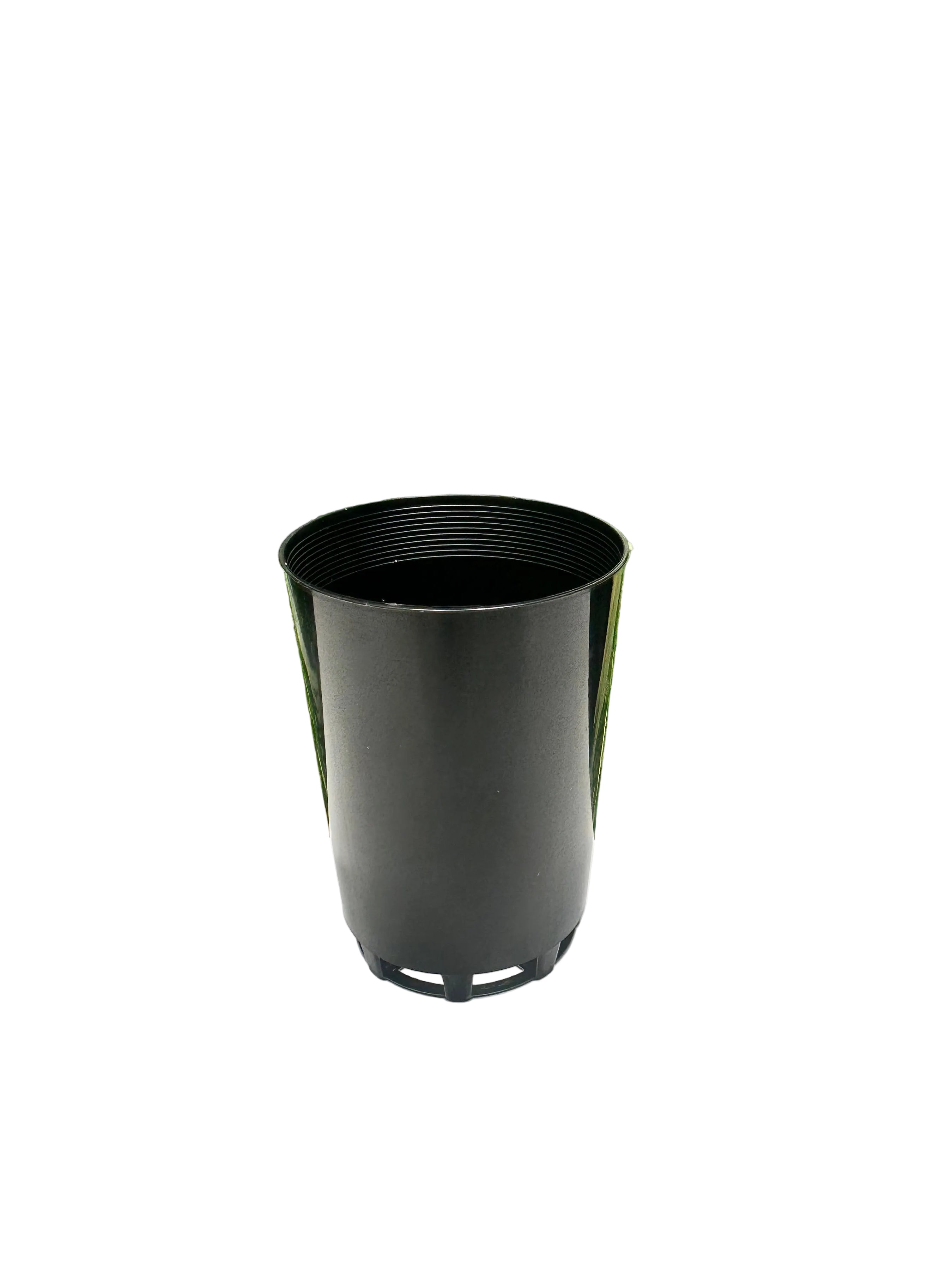 Black Propagation Tube 5cm (110ml)