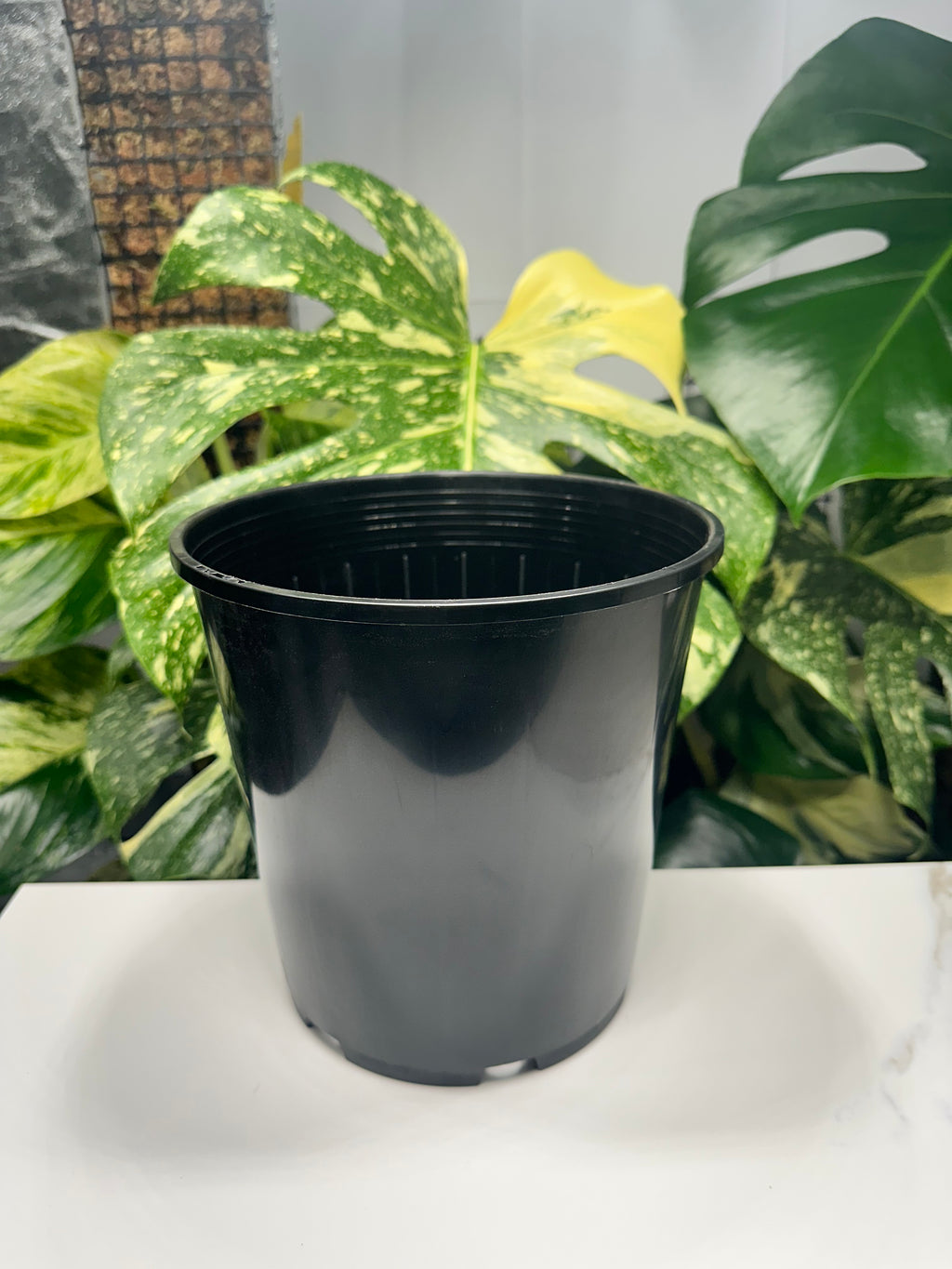 Black Nursery Pot 20cm (4.7L)