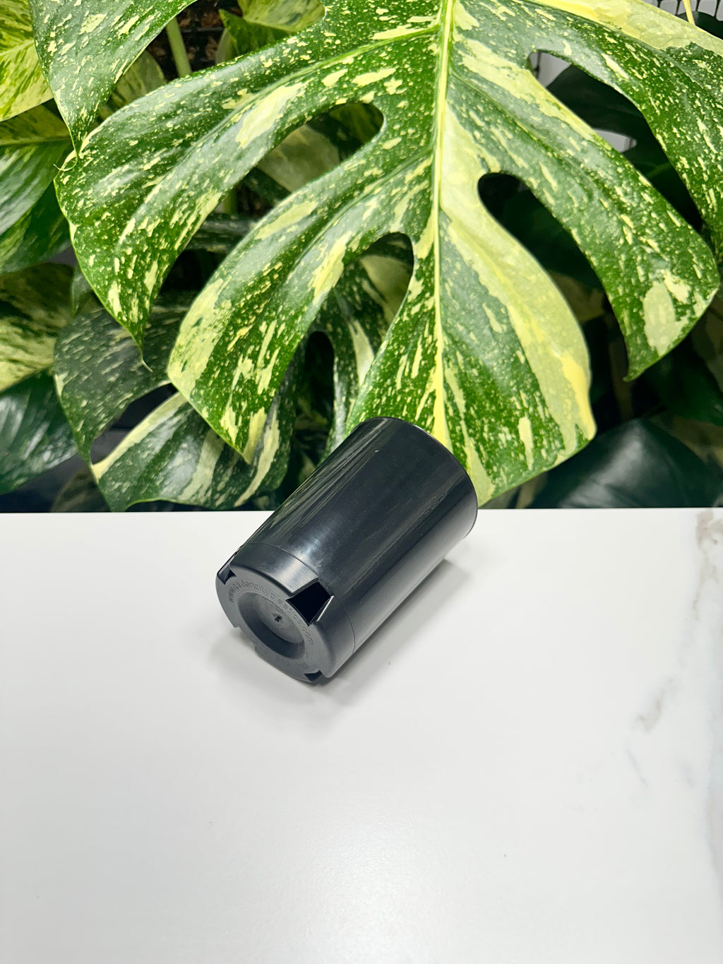 Black Propagation Tube 7.5cm (300ml)