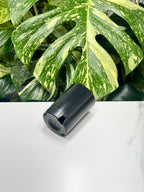 Black Propagation Tube 7.5cm (300ml)