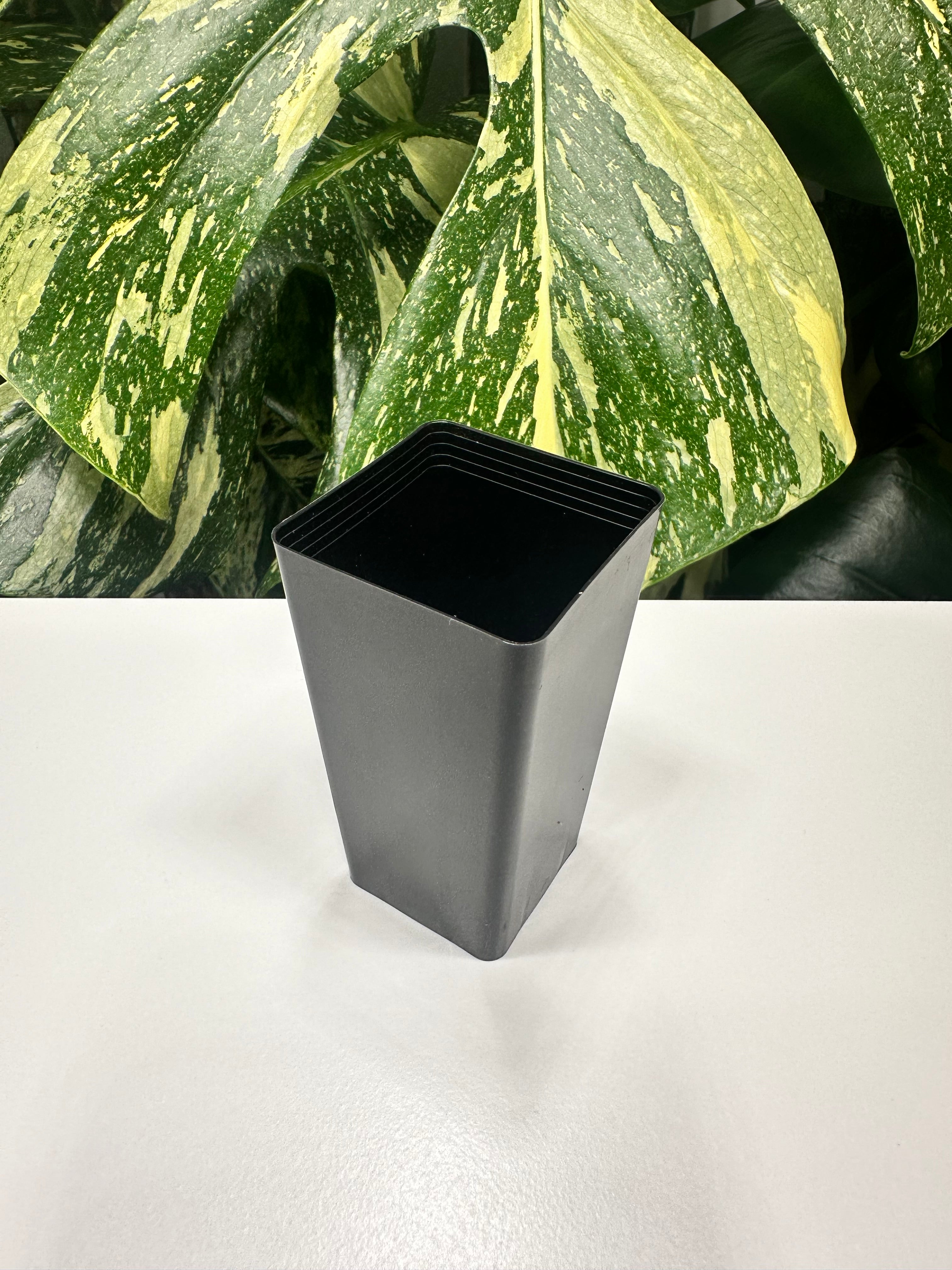 Black Square Propagation Tube 4cm (110ml)