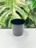 Black Nursery Pot 10cm (750ml)