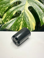 Black Propagation Tube 5cm (110ml)