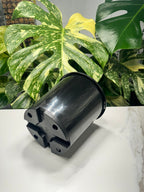 Black Nursery Pot 15cm (2.0L)