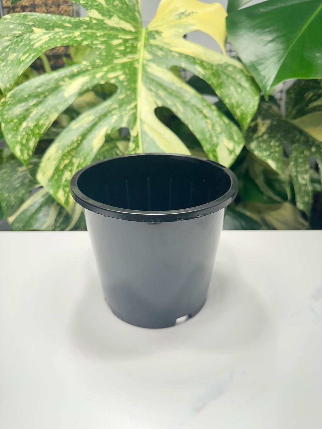 Black Nursery Pot 14cm (1.3L)