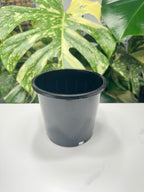 Black Nursery Pot 14cm (1.3L)
