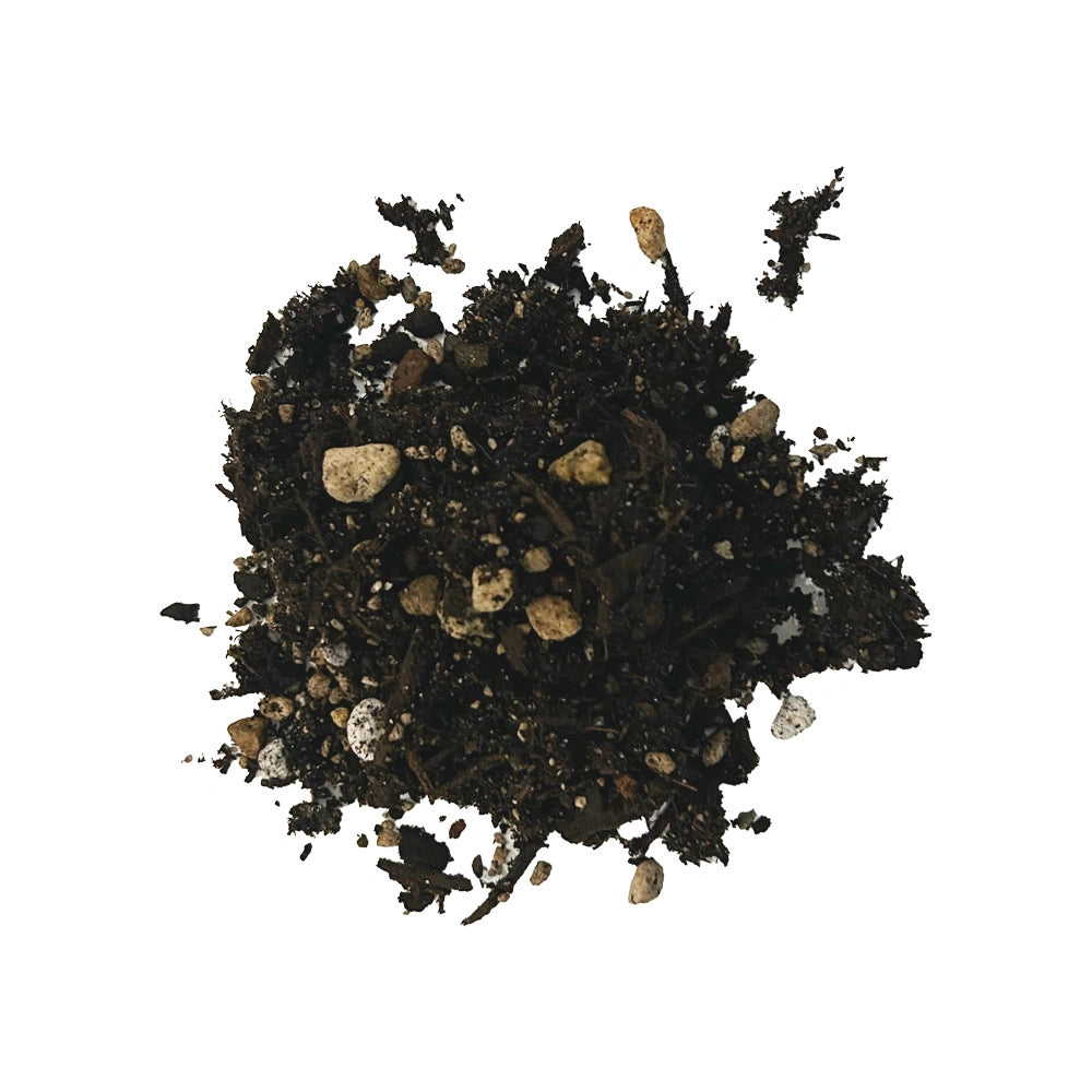 Bio Leaf INDOOR Plant Potting Mix - 2 litres