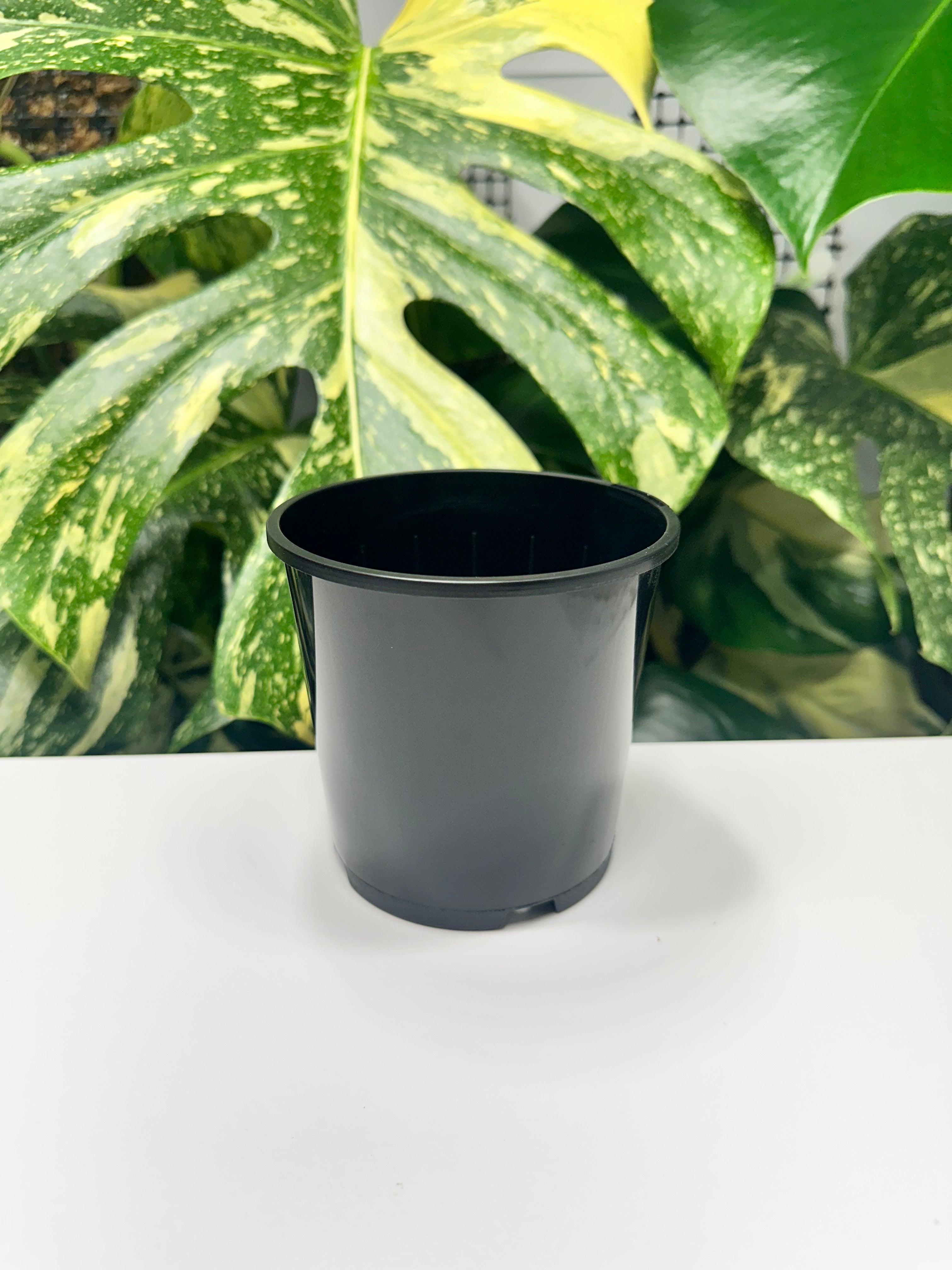 Black Nursery Pot 10cm (750ml)