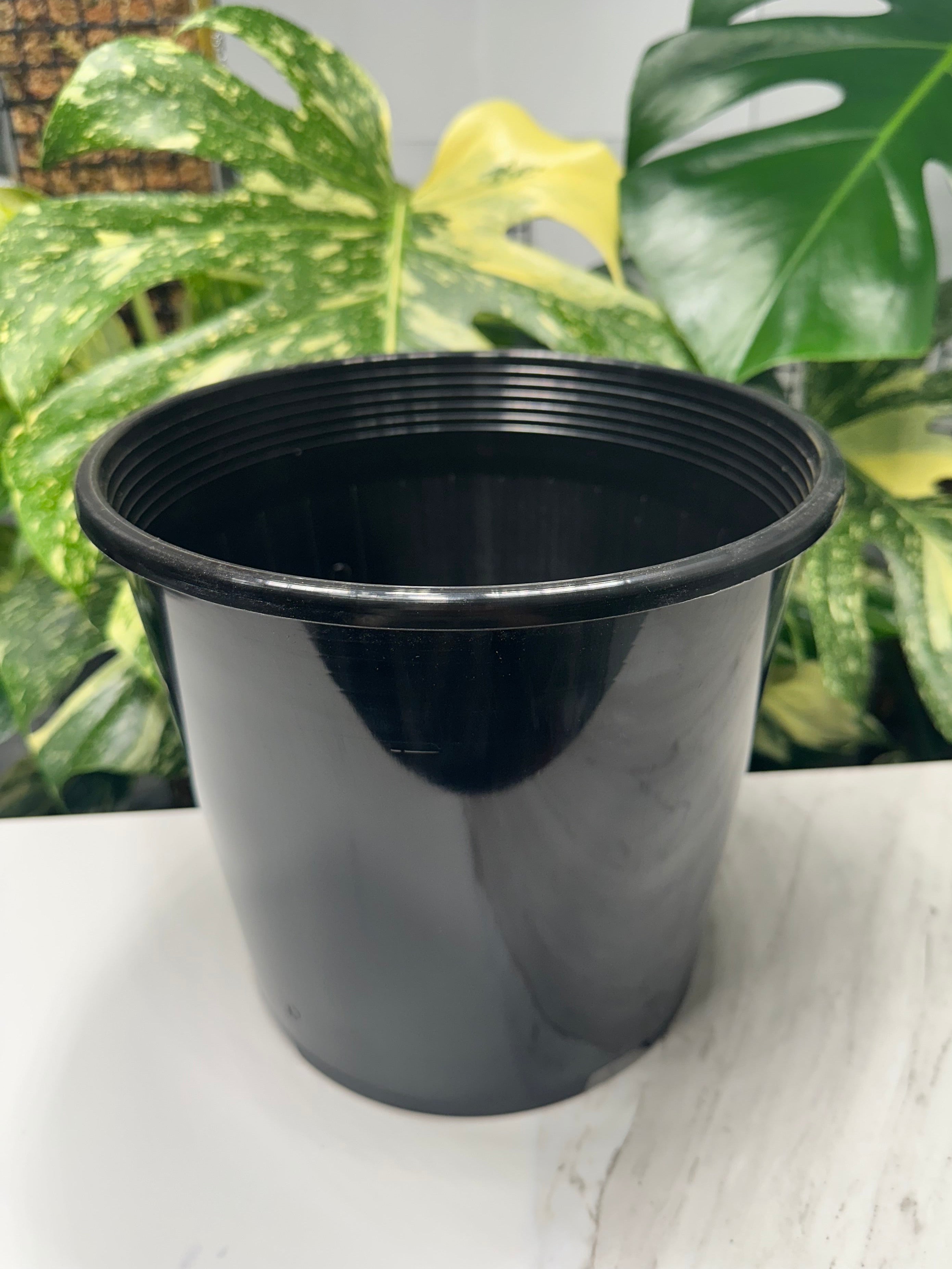 Black Nursery Pot 23cm (6.0L)