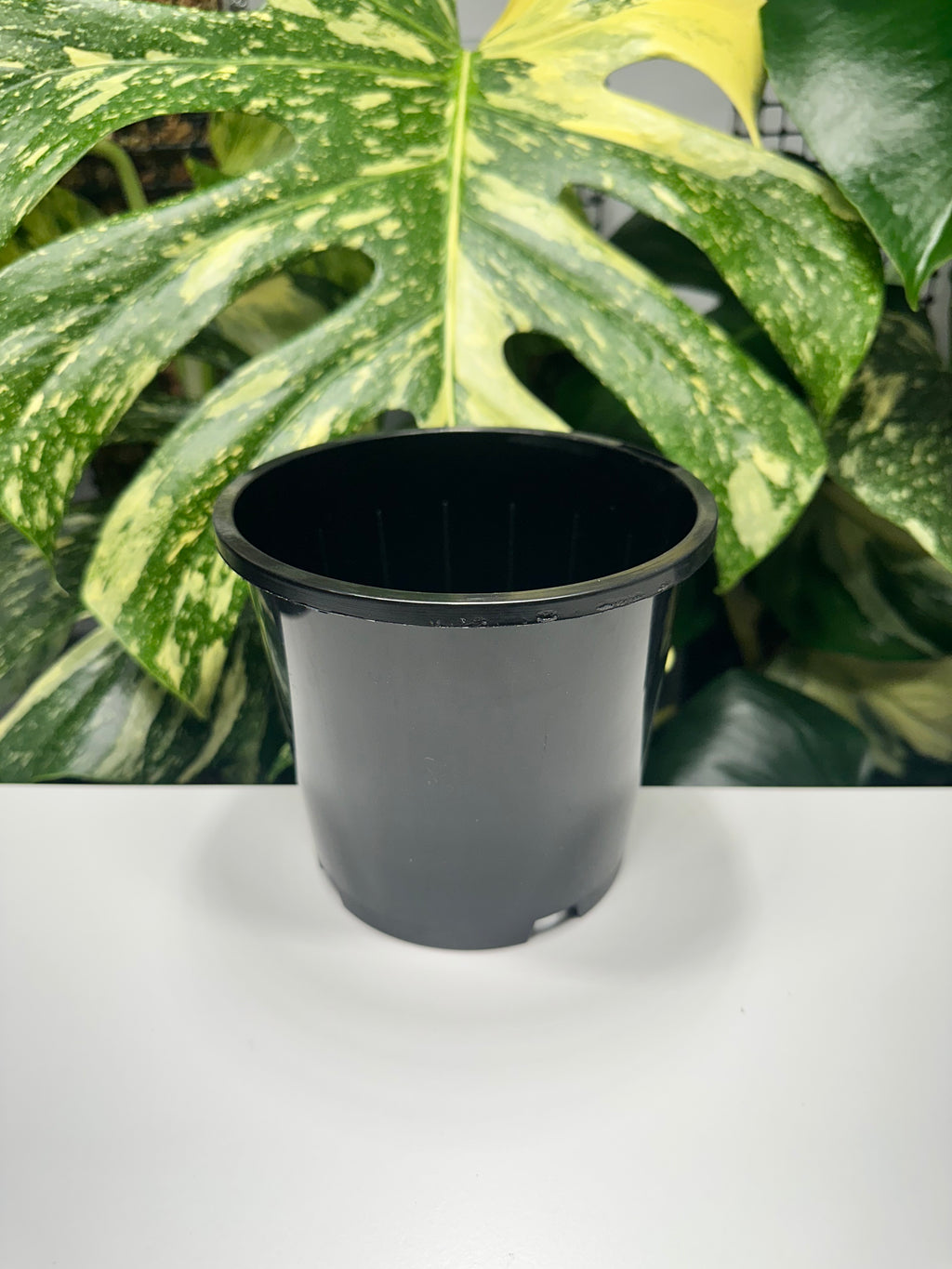 Black Nursery Pot 14cm (1.3L)