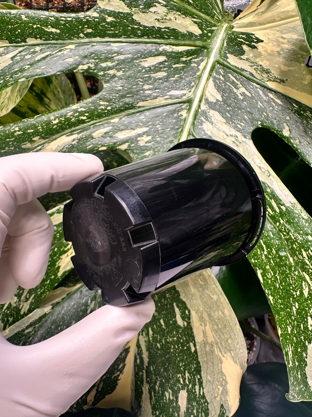Black Nursery Pot 7cm (170ml)