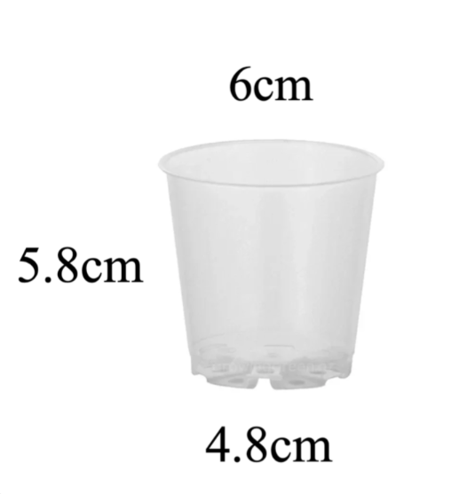 Clear Nursery Pot 6cm (110ml)