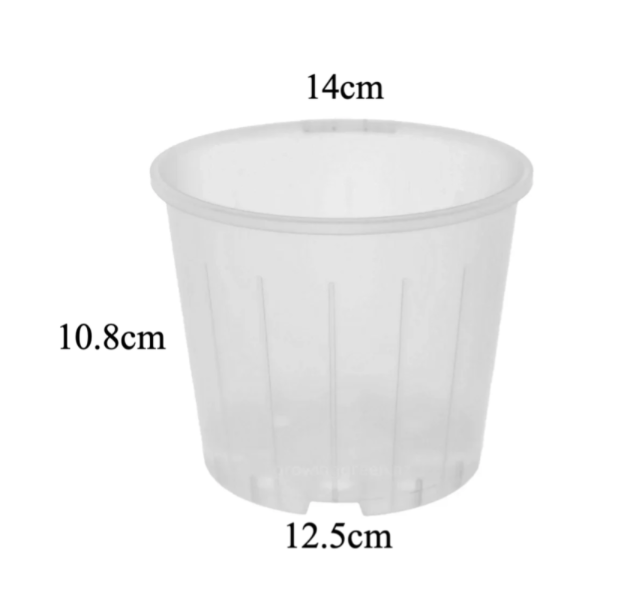 Clear Nursery Pot 14cm (1.3L