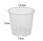 Clear Nursery Pot 15cm (2L)