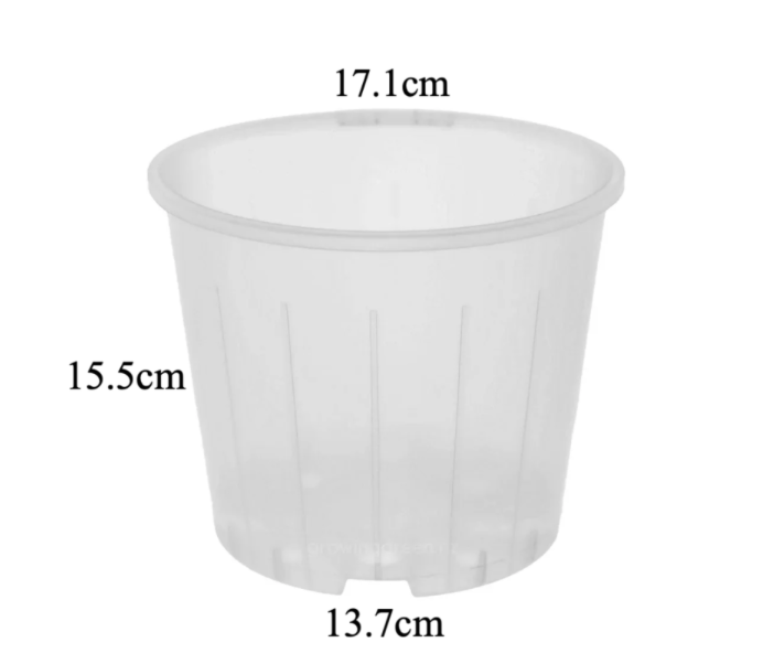 Clear Nursery Pot 17cm (2.5L)