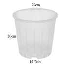 Clear Nursery Pot 20cm (4.7L)