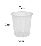 Clear Nursery Pot 7cm (170ml)