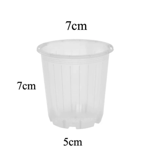 Clear Nursery Pot 7cm (170ml)