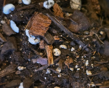 Bio Leaf INDOOR Plant Potting Mix - 2 litres