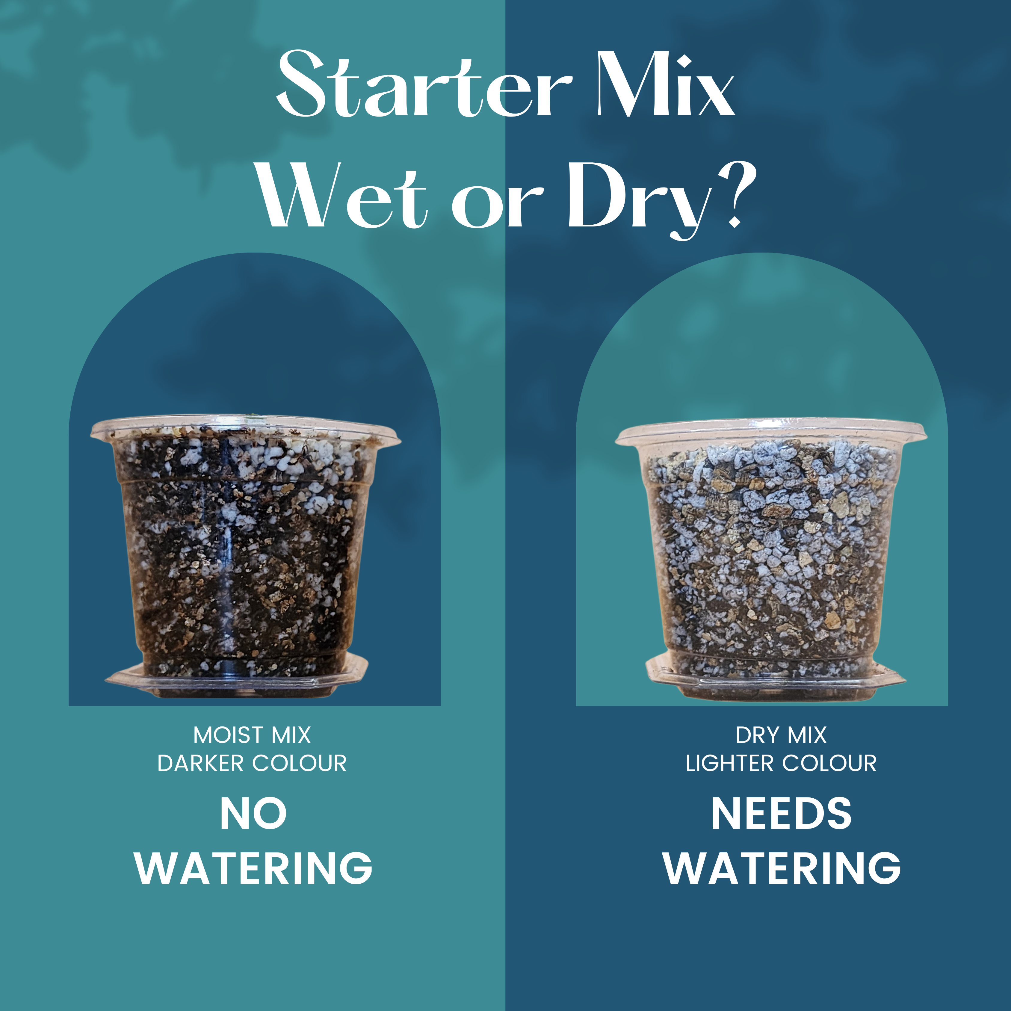 Bio Leaf Premium Starter Mix - 5L