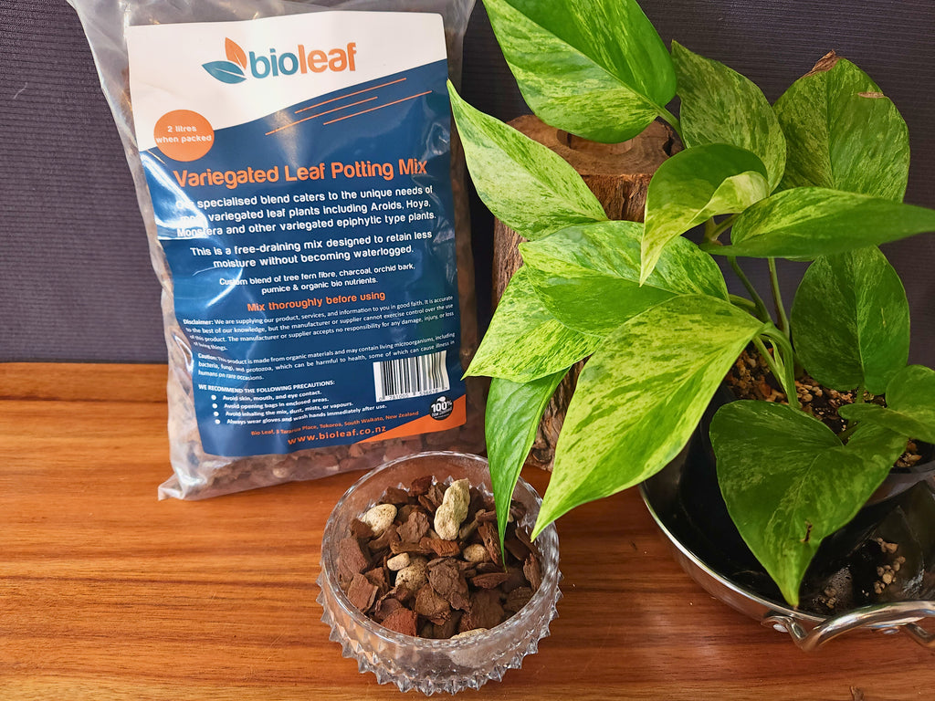 Bio Leaf Premium Variegated Leaf Potting Mix - 2 Litre